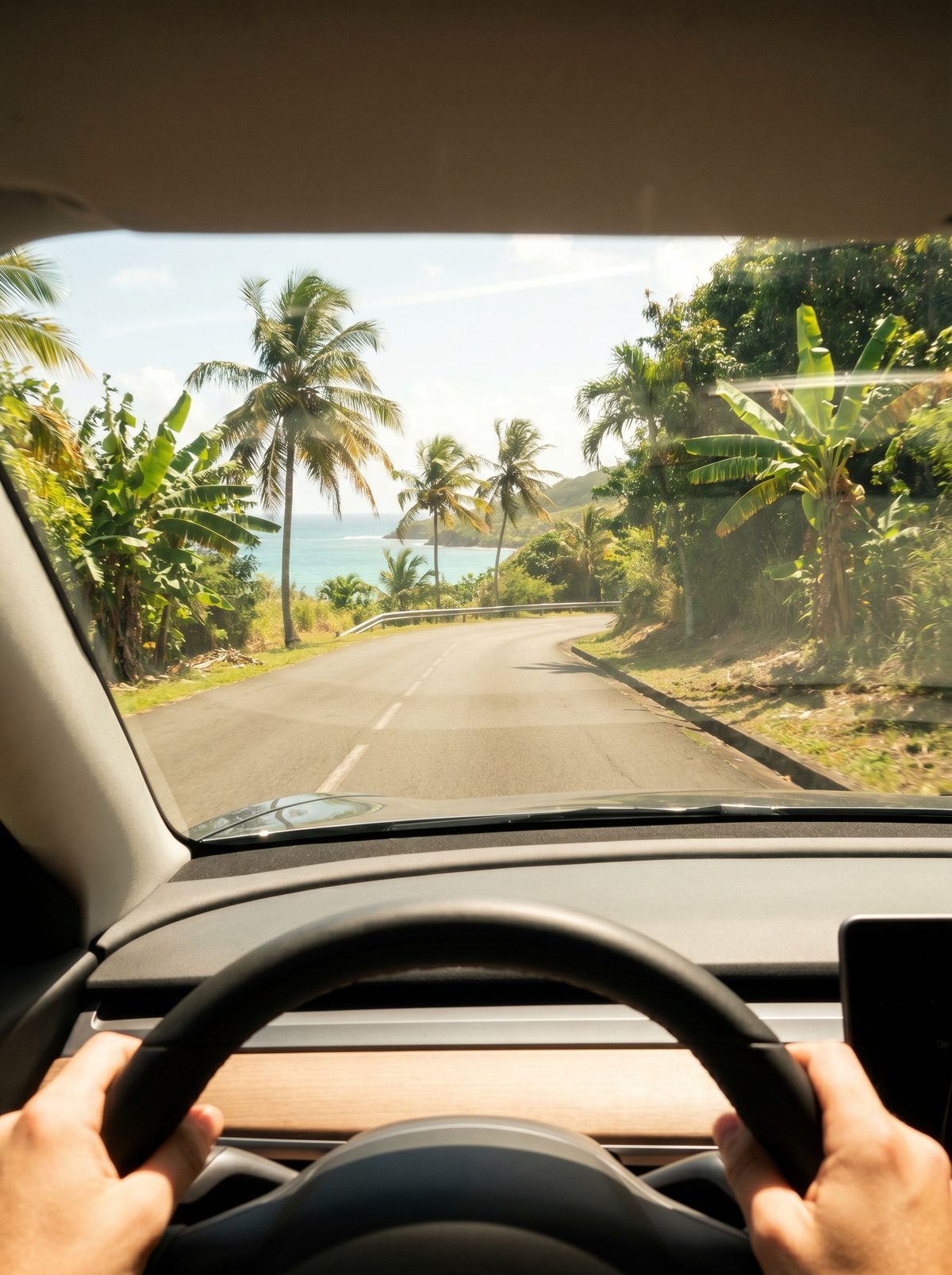 Louer longue durée en Guadeloupe : loueur local ou international ?